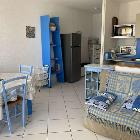 Appt 2 Pieces Climatise Port Camargue Pc060-3050 شقة *